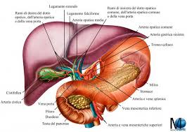Dieta e gastrite, alimentazione e reflusso gastroesofageo. Gastrite Cronica Quando Il Bruciore Di Stomaco Non Da Tregua Medicina Online