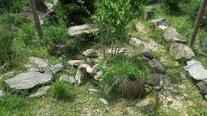 Landschildkroten Im Hunsruck Wie Alles Begann Schildkrotengehege Landschildkroten Schildkrote Gehege