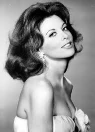 Beautiful Photo Of Ms Tina Paner ❤️🌹❤️ Credit Photo Belongs To Ms Tina