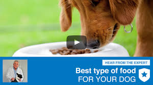 Our revamped selection of dog and cat food now makes it easier than ever to choose a. Best Dog Food Consumeraffairs