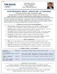 resume samples cio careerplus.web.fc2.com