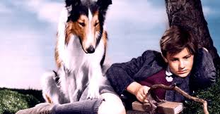 Lassie come home (2020) in full hd quality. Lassie Come Home Streaming Where To Watch Online