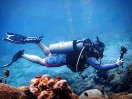 Tripadvisor has 2,121 reviews of manati hotels, attractions, and restaurants making it your best manati tourism resource. Img 20180521 234228 122 Large Jpg Picture Of Manati Scuba Tripadvisor