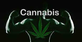 Marijuana And Athletes What You Should Know