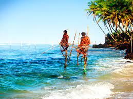 Erstellen sie auf tripadvisor den perfekten urlaub nach sri lanka, indem sie preise vergleichen und bewertungen zu hotels in sri lanka lesen. Sri Lanka Tipps Fur Deine Reise Urlaubsguru At