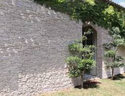 Diversité de tonalités de roches naturelles européennes, dans leur plus traditionnel aspect l'opus incertum. Les Parement Colles La Minceur Compatible Avec L Ite Marche