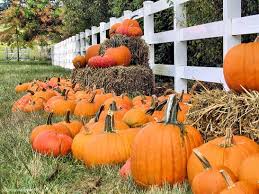 North Texas Kidspumpkin Patches In Dallas Ft Worth And Surrounding Communities North Texas Kids