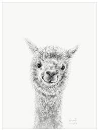 Llama Draw You A Portrait Hannah Wall Art Llama Drawing Alpaca Drawing Art Inspiration Drawing