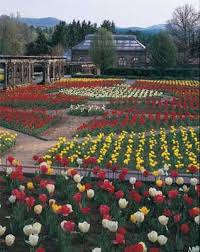 Asheville S Finest Home Biltmore Estate Estate Garden Biltmore House