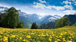 Contents 15 spring hd wallpapers 1080p 44 spring scenery wallpaper Spring Landscape Wallpapers Top Free Spring Landscape Backgrounds Wallpaperaccess