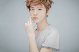 The latest tweets from xi luhan (@nm_luhanxi). Profile Of Exo S Luhan Name Age Birthday Drama Plastic Surgery And Facts Channel K