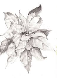 Pencil Drawing Poinsettia Google Search Pencil Drawings Drawings Christmas Sketch