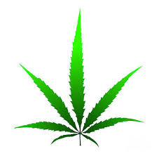 Maybe you would like to learn more about one of these? Marijuana Leaf Drawings Fine Art America