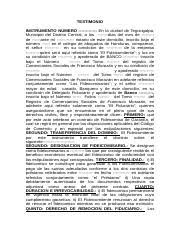 Se consult al banco de costa rica y el scotiabank sobre las consideraciones al definir y prestar el servicio de fideicomiso en su entidad, a continuacin, se presenta un resumen de la informacin obtenida y complementada con la pgina web de dicha entidad, ya que el funcionario consultado indic que para obtener un mayor detalle se deba referir a la pgina. Ejemplo Fideicomiso De Garantia Doc Testimonio Instrumento Numero En La Ciudad De Tegucigalpa Municipio Del Distrito Central A Los D U00edas Del Mes Course Hero