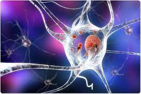 Gene Therapies For Parkinson S Disease