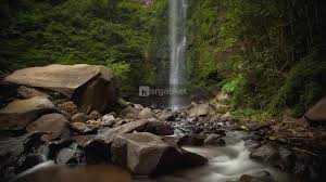 We did not find results for: 114 Tempat Wisata Di Malang Dan Harga Tiket Masuknya 2021