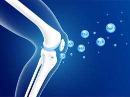 Почему кости становятся хрупкими?