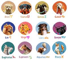 2018 Horoscopes Year Of The Dog For Western Zodiac Signs Zodiac Signs Animals Dog Zodiac Zodiac Signs Sagittarius