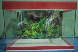 Bis 40x40x40cm versenden wir mit paketdienst. Membuat Aquarium Sendiri Lovedfish