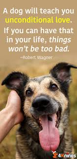 A Dog Will Always Teach You Unconditional Love Dogs Teach Dog Tricks Dog Quotes