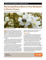 Attracting mason bees with daisies proves to be a simplistic task for even the novice gardener, as these flowers grow adequately during spring in temperate climates. Nurturing Mason Bees In Your Backyard In Western Oregon Osu Extension Catalog Oregon State University