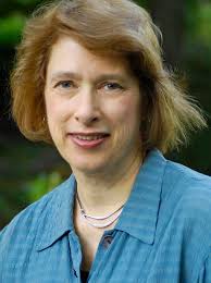 Professor's novel praised by NYT