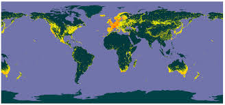 Image result for Kalanchoe latisepala