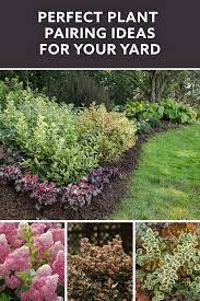 Top hashtags of all time. Perfect Plant Pairings Perfect Plants Lawn And Landscape Backyard Landscaping Designs