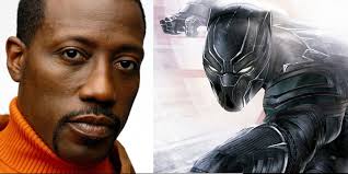 Wesley Snipes Is 'Ecstatic' About Marvle's Black Panther Movie