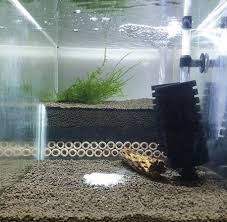 5 jenis filter aquarium terbaik. 5 Jenis Filter Akuarium Terbaik Dan Kegunaanya Yang Wajib Kalian Ketahui Iwak Galak