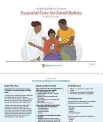 Essential Care For Small Babies Facilitator Flip Chart