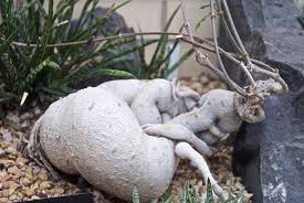 Image result for Raphionacme