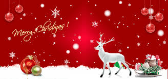 Merry Christmas With Reindeer On Red Background Happy New Year Happy New Year Background 2020 Background Image For Free Download