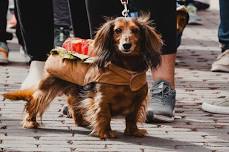 Deadwood Oktoberfest