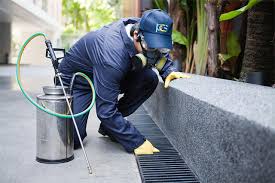Choosing the best pest control provider to keep your home free from invading pests and to ensure your environment remains clean and healthy is the right call. Tips For Hiring Best Pest Control In Town