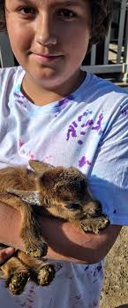 The last few days have been very hard and full of sorrow, so today we want  to show you some of the happier times here at the rescue. These are our  Junior