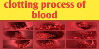 Your body reacts to an injury or cut by clotting your blood just the way it should. Clotting Process Of Blood And Its Mechanism Biologysir