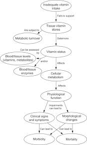 Image result for Vitamin Deficiency