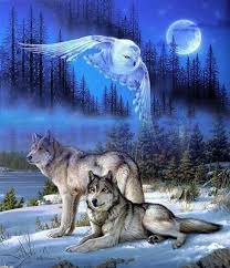 We did not find results for: 790 Cool Wolf Pics Ideas In 2021 Wolf Wolf Pictures Wolf Spirit