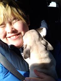 We have 5 dogs, 3 are Pugs, and all get along great but the bestest best  friends are our smallest Pug and our GSD/Czech Wolfdog mix, literally  little and large lol. Let's