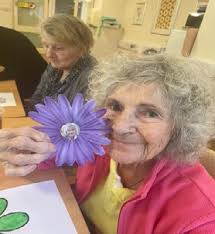 SAFEGUARDING ADULTS E-BRIEFING