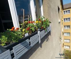 Masu Ist Viel Mehr Als Eine Fensterbank Absturzsicherung Selbst Eine Schmale Fensterbank Aus Blech Verwandelt Masu In Einem Krauter Garten Fenster Und Dekor