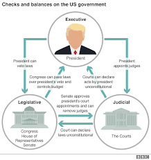 Federal judges offer insights into their thinking about the separation of powers and describe how healthy tensions among the branches have a stabilizing. Taking On Trump Is The Us Facing A Constitutional Crisis Bbc News