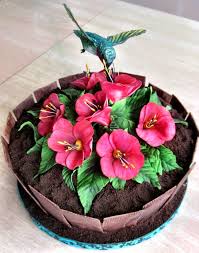 Hummingbird Planter Cake Bird Cakes Hummingbird Cake Bakery Cakes