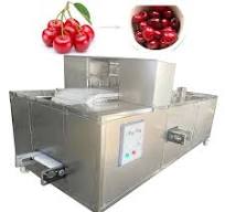 Automatic Apricot Cherry Pit Stone Removing Machine Fruit Seeds Removing  Machine Cherry Pitter Cherry Pitting Machine Dates Seeds Removing Machine