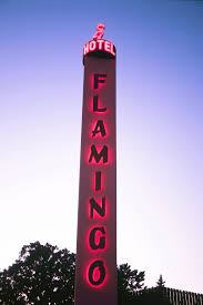 Pin By Xenia Madison Art On Cali Flamingo Hotel Vintage Neon Signs Flamingo Art