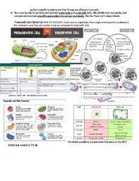 Released 2019 biology staar test for review purposes learn with flashcards, games and more released 2019 biology staar test for review purposes. Texas Biology Staar Eoc Student Study Guide With Previous Staar Questions