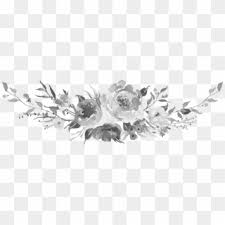 See white flower black background stock video clips. White Flower Png Transparent For Free Download Pngfind