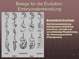 Das biogenetische grundgesetz ernst haeckels und seine gegner. Die Evolution Prasentation Von Heinz Ernst Ppt Video Online Herunterladen