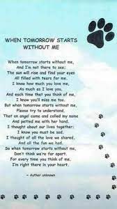 I have had many dogs in my life and know what a joy they can be. Pbso On Twitter Pet Loss Grief Dog Poems Dog Quotes